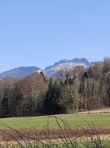 Hofalm-Runde