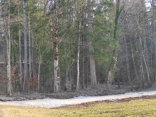 Burghölzl-Runde