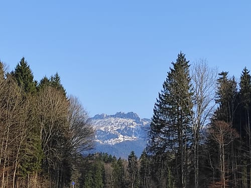 Burghölzl-Runde