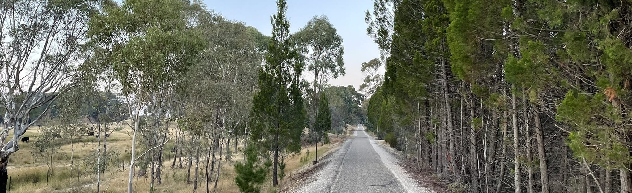 Murray to Mountains Rail Trail Wangaratta Beechworth, Victoria