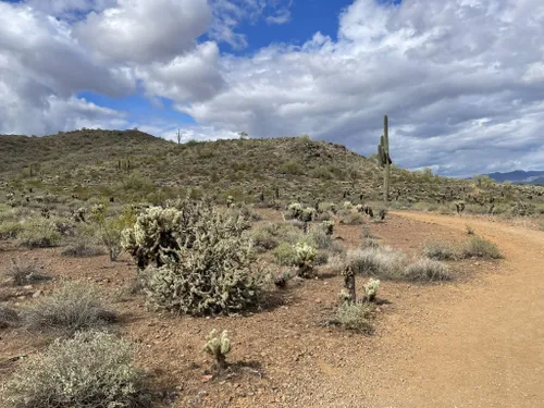 10 Best Hikes and Trails in Phoenix Sonoran Desert Preserve | AllTrails