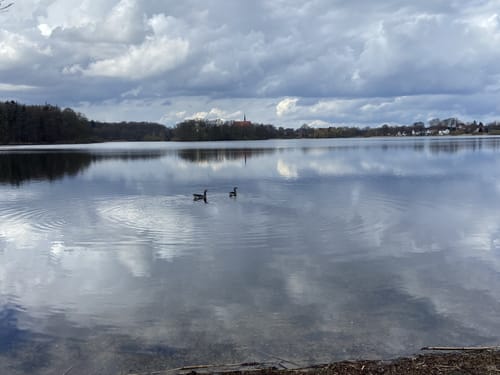 Bordesholmer See Rundweg
