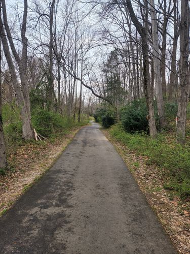 Best Hikes and Trails in McLean Central Park | AllTrails