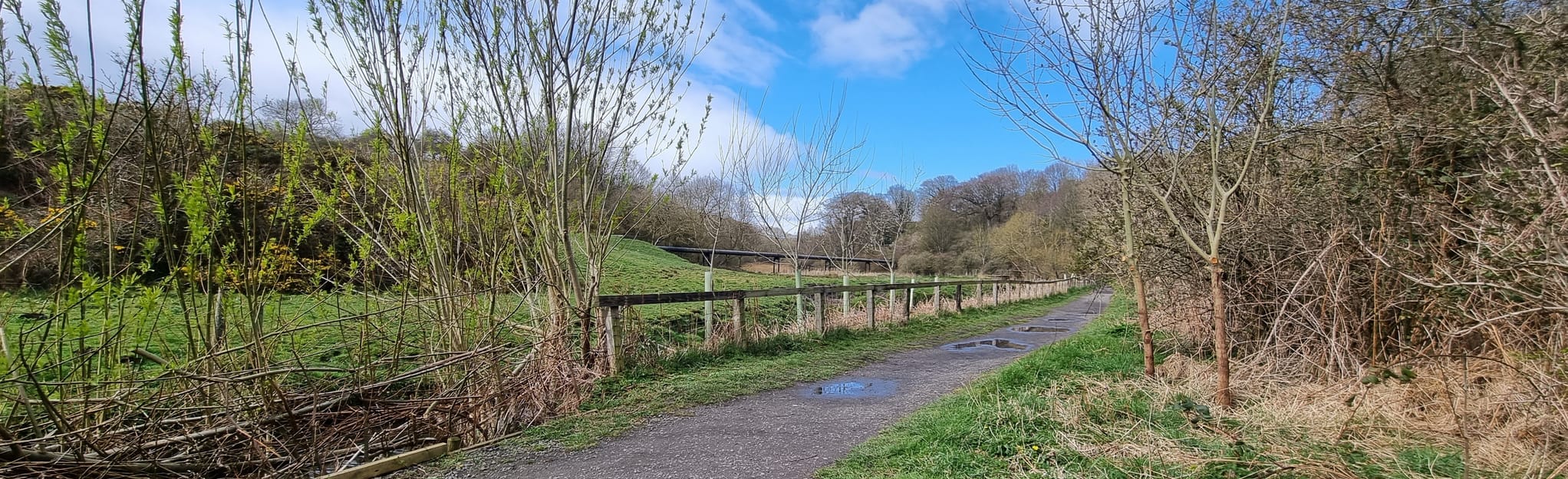 Holywell Dene and Delaval Hall Circular 234 Photos Tyne and Wear