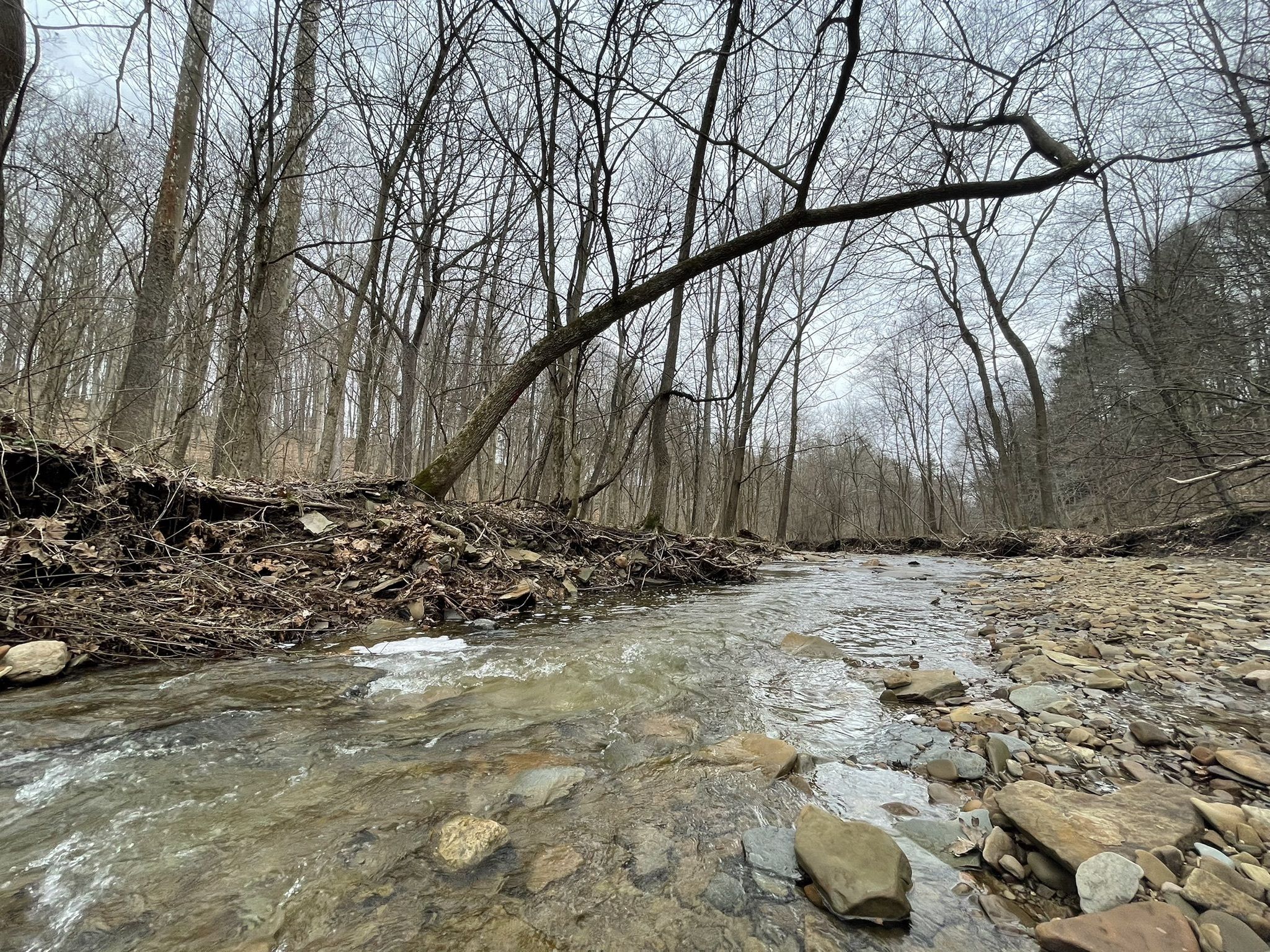 Photos of Wooster, Ohio trails | AllTrails