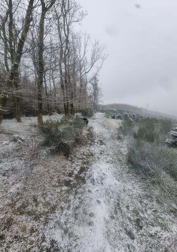Stockum Wanderweg St1