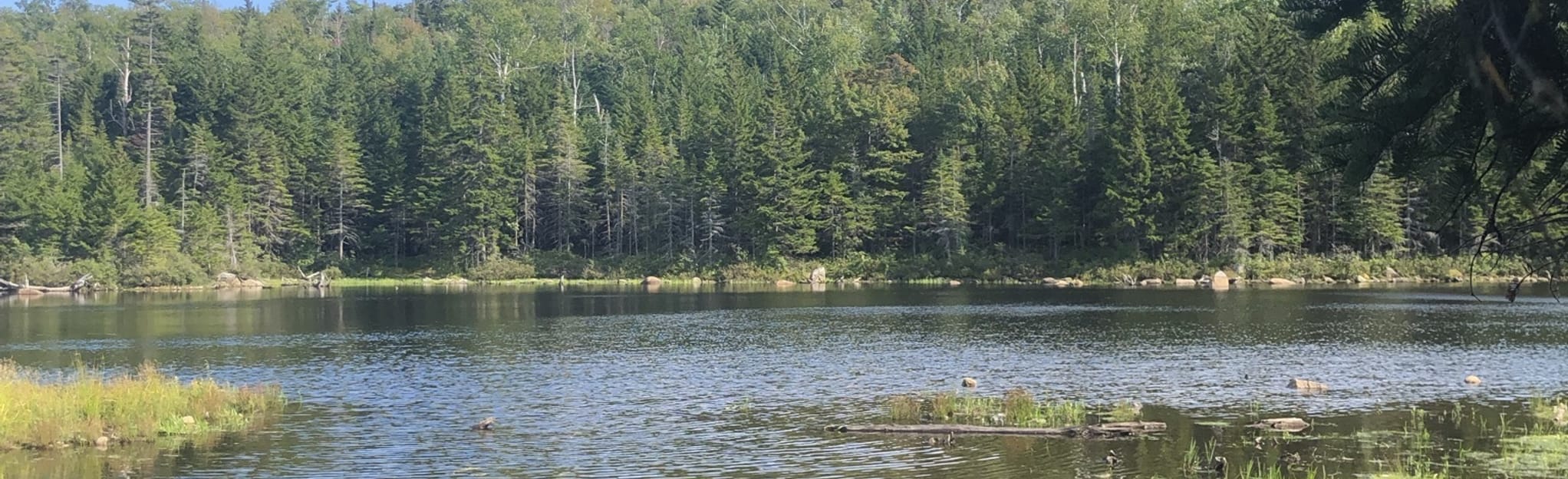 Flat Mountain Pond Trail, New Hampshire 99 Reviews, Map AllTrails