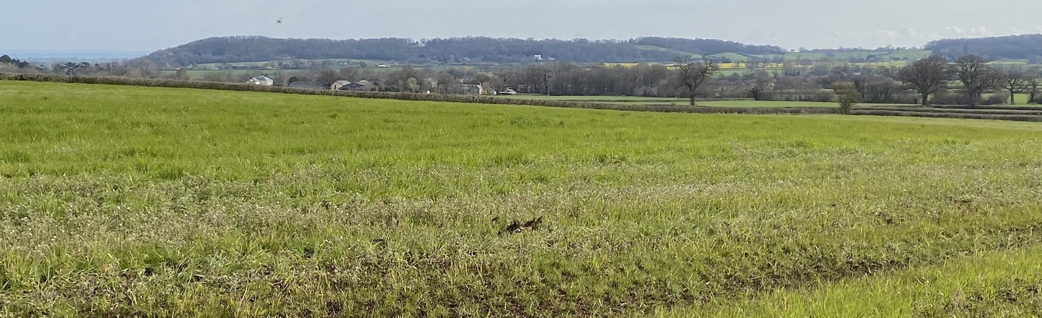 Pitminster and Old Combe Hill, Somerset, England 7 Reviews, Map