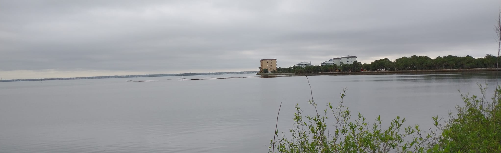 Honeymoon Island Nature Trail, Florida 14 Reviews, Map AllTrails