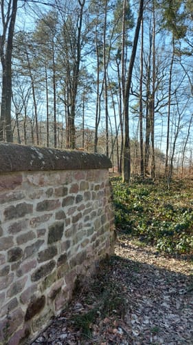 Am Aussichtsturm Zemmer