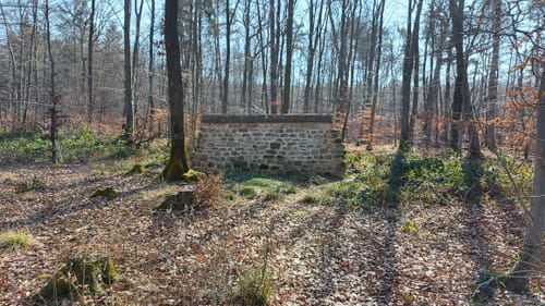 Am Aussichtsturm Zemmer