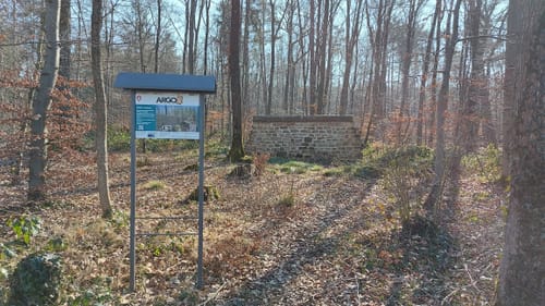 Am Aussichtsturm Zemmer