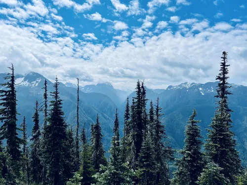 Best 10 Hiking Trails In Strathcona Provincial Park | AllTrails