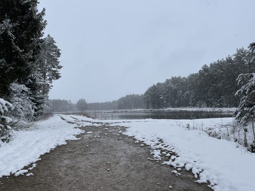 Theodor-Bauer-Weg (Fernwanderweg)