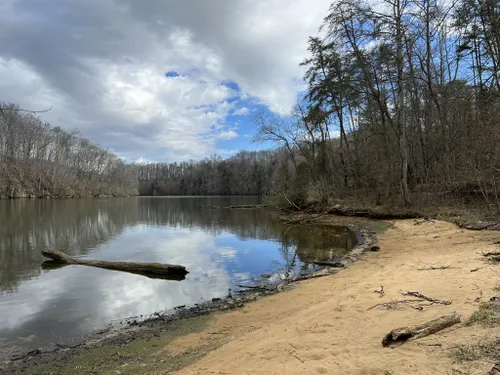 Best Trail Running Trails in Warriors' Path State Park | AllTrails