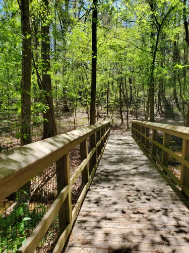 Clôture de bois long et pont dans la forêt le long d'un sentier de
