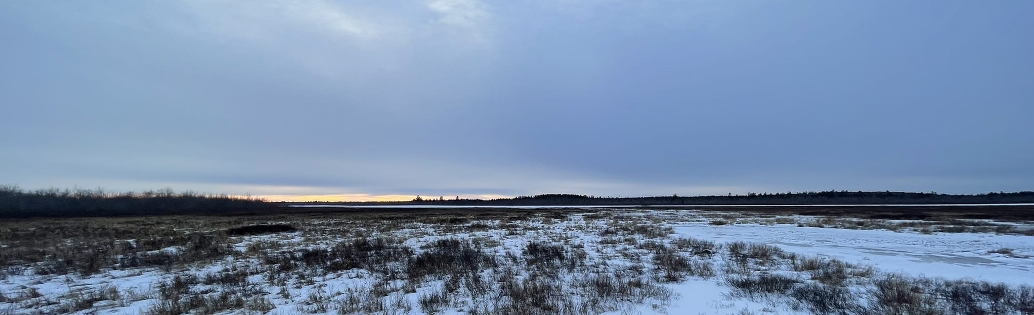 Spruce Loop Trail, Maine 32 Reviews, Map AllTrails