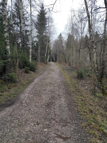 Von Höhenberg um den Bärnsee