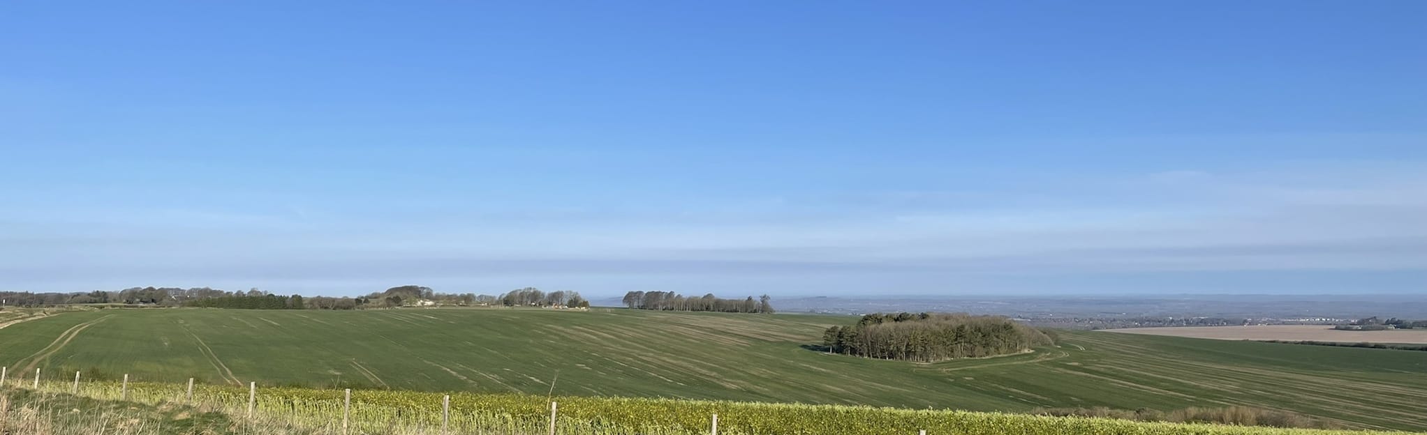 West Isley and The Warren 5 Reviews, Map Berkshire, England AllTrails