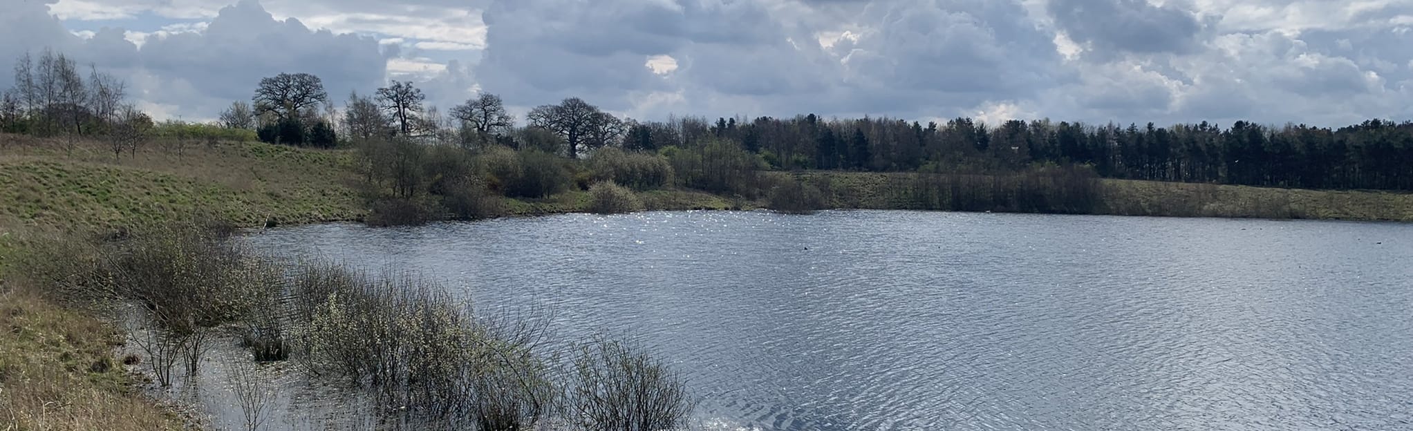 Chelford Quarry Circular: 28 Reviews, Map - Cheshire, England | AllTrails