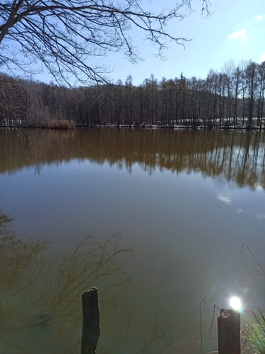 Burgen, Schlösser und alte Klöster (Region Rureifel)