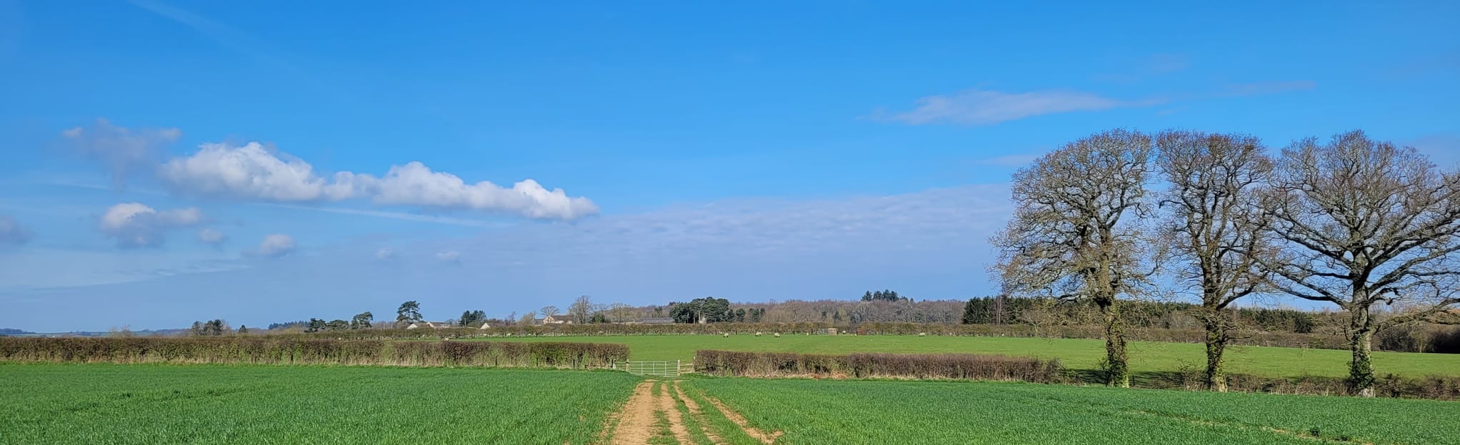 ShiptonUnderWychwood Circular 95 Fotos Oxfordshire, England