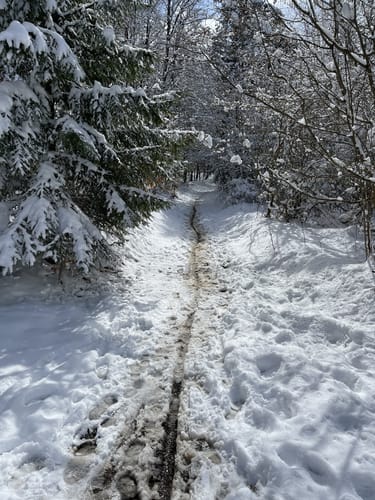 Theodor-Bauer-Weg (Fernwanderweg)