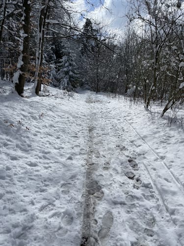 Theodor-Bauer-Weg (Fernwanderweg)