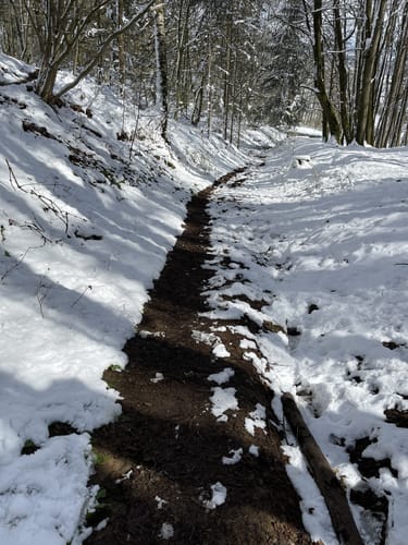 Theodor-Bauer-Weg (Fernwanderweg)
