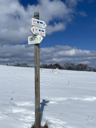 Theodor-Bauer-Weg (Fernwanderweg)