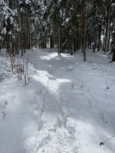 Theodor-Bauer-Weg (Fernwanderweg)