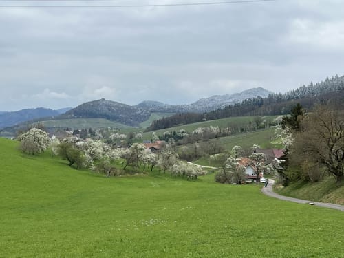 Gundelfingen - Bankhof - Berghäusle