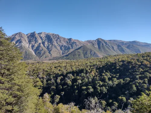 SILBATO DE SUPERVIVENCIA – RUTAS DEL MAULE