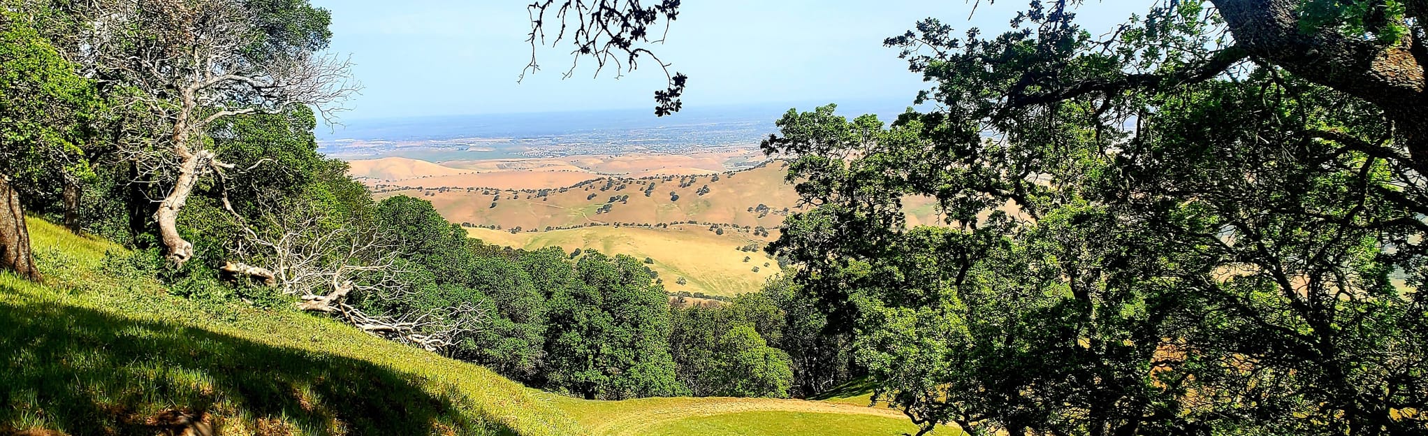 Clyma, Highland Ridge, Eagle, Volvon, Blue Oak, and Condor Loop: 139 ...