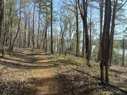 Best Hikes and Trails in Jordan Lake State Recreation Area  AllTrails