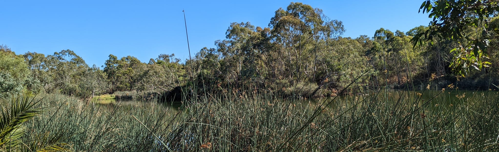 Mount Barker Creek Loop, South Australia, Australia 55 Reviews, Map