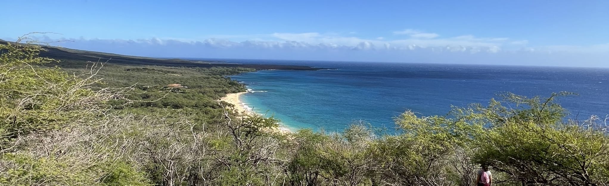 Puu Olai Cinder Cone Trail Maui, Hawaii AllTrails
