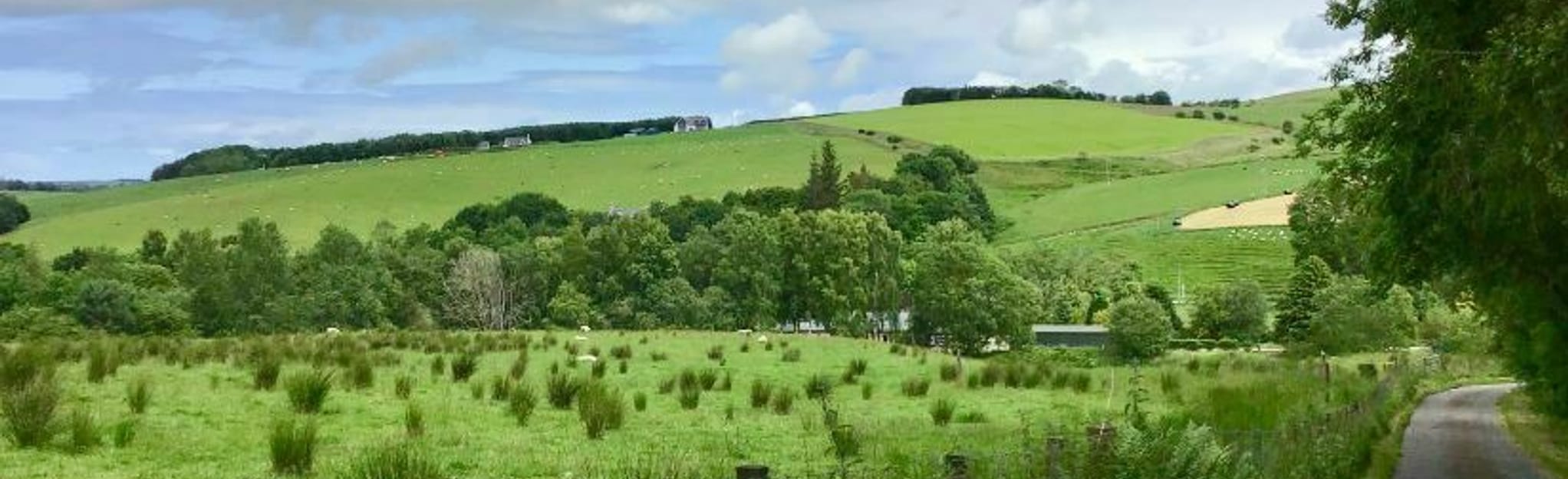 Fife Keith, Strathisla, and Mill of Towie Circular 20 foto's Moray