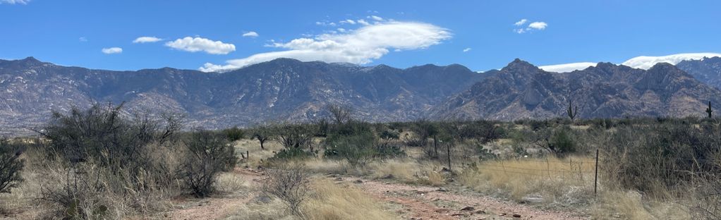 SAT 12/16 - SHUTTLE EDITION ::: Dawn Patrol @ 50-Year to Catalina State  Park (10am) #OldPuebloMTB, 50 Year Golder Ranch trailhead, Catalina  Foothills, December 16 2023