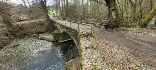 Kölner Weg Etappe 7: Kloster Marienthal - Heimborn