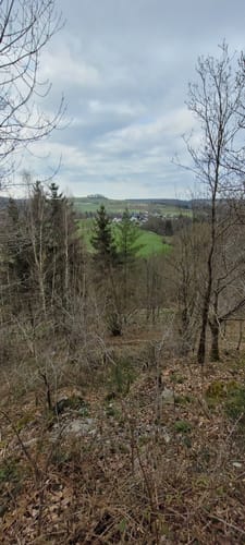 Kölner Weg Etappe 7: Kloster Marienthal - Heimborn