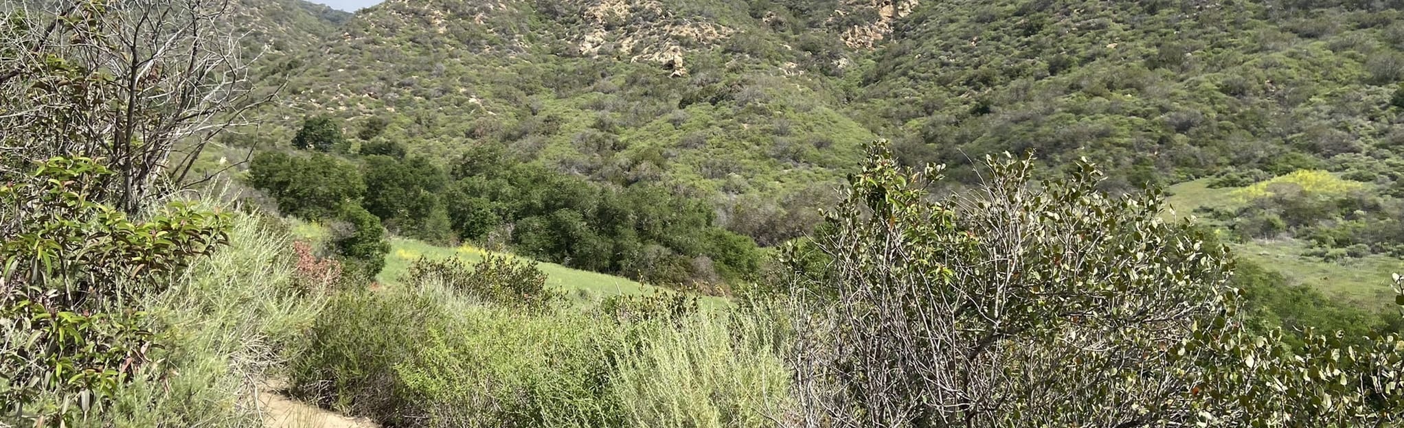 Serrano Ridge West Canyon Trail Loop, California - 464 Reviews, Map ...