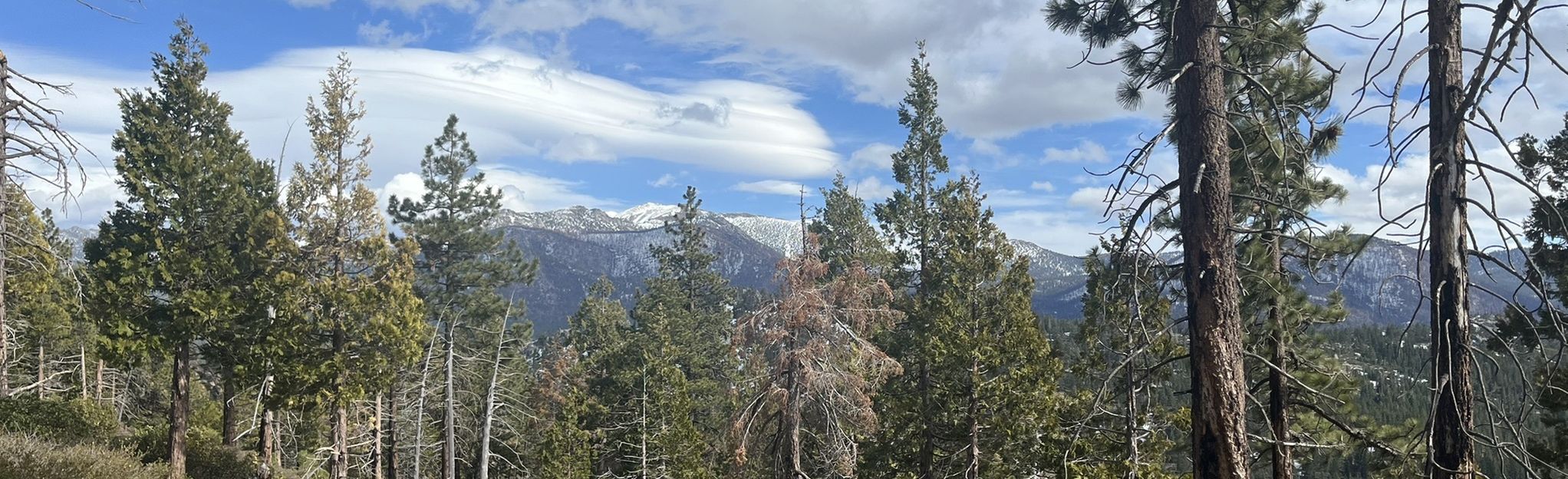 Panther, Tahoe Mountain, Angora Ridge, and High School Loop, California ...