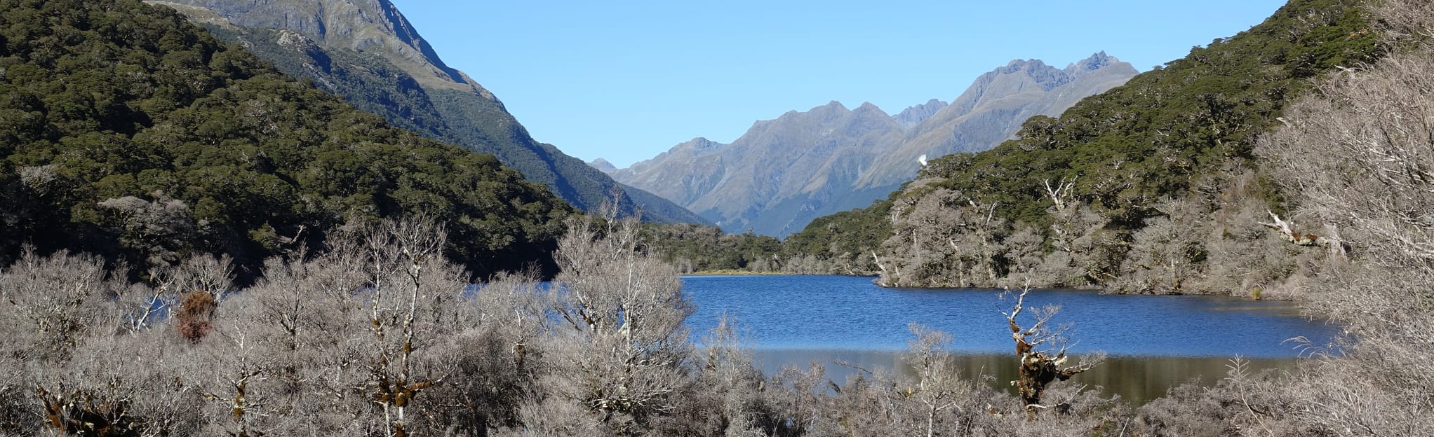 Routeburn Greenstone Track Lake Mackenzie Hut to McKellar Hut
