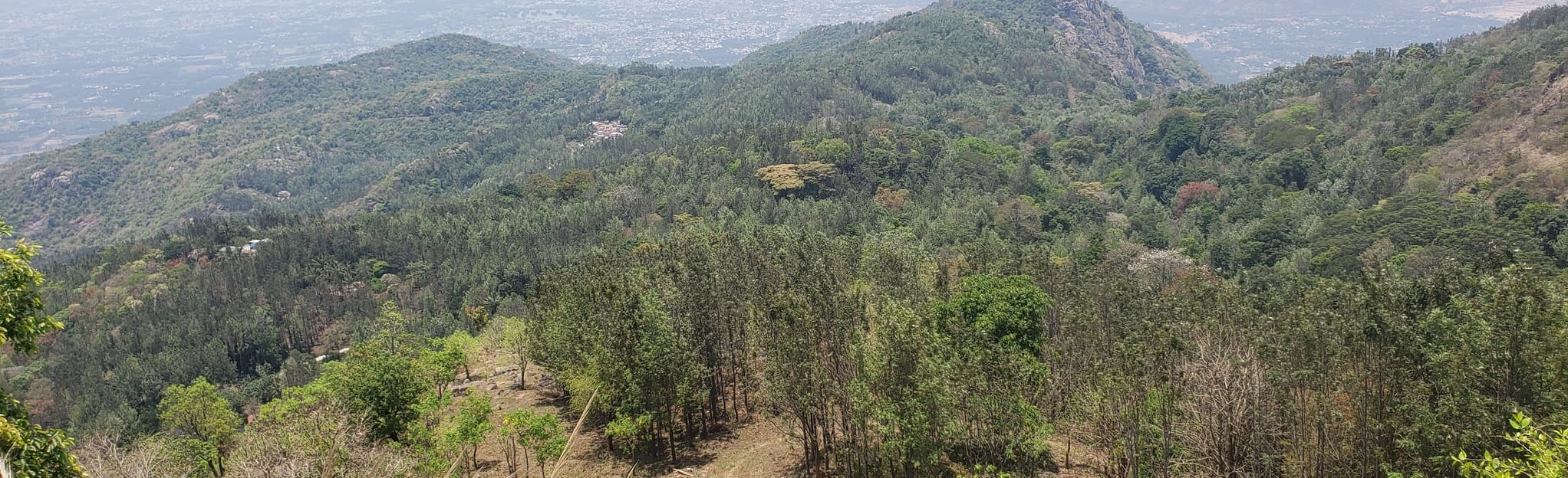 Yercaud Top, Tamil Nadu, India 2 Reviews, Map AllTrails