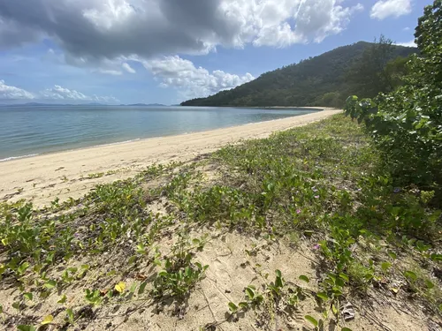 Best Hikes and Trails in Goold Island National Park AllTrails