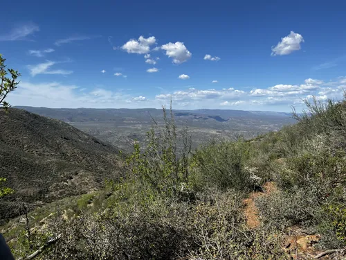 Arizona hill's AZ 69