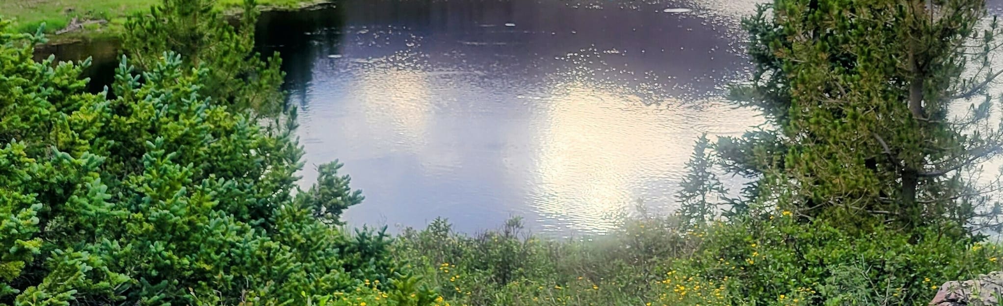 Queant Lake via West Fork Whiterocks and Quenat Lake Trails 71 foto's