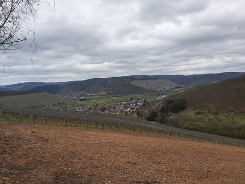 Vom Warsberg zum Saarufer
