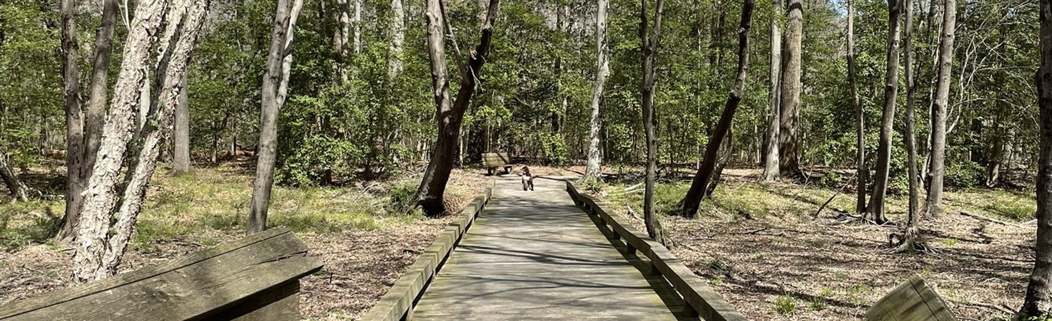 Appomattox River Trail 140 Reviews, Map Virginia AllTrails